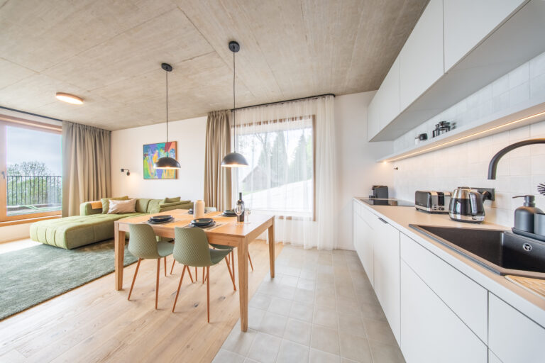 Apartment (6)